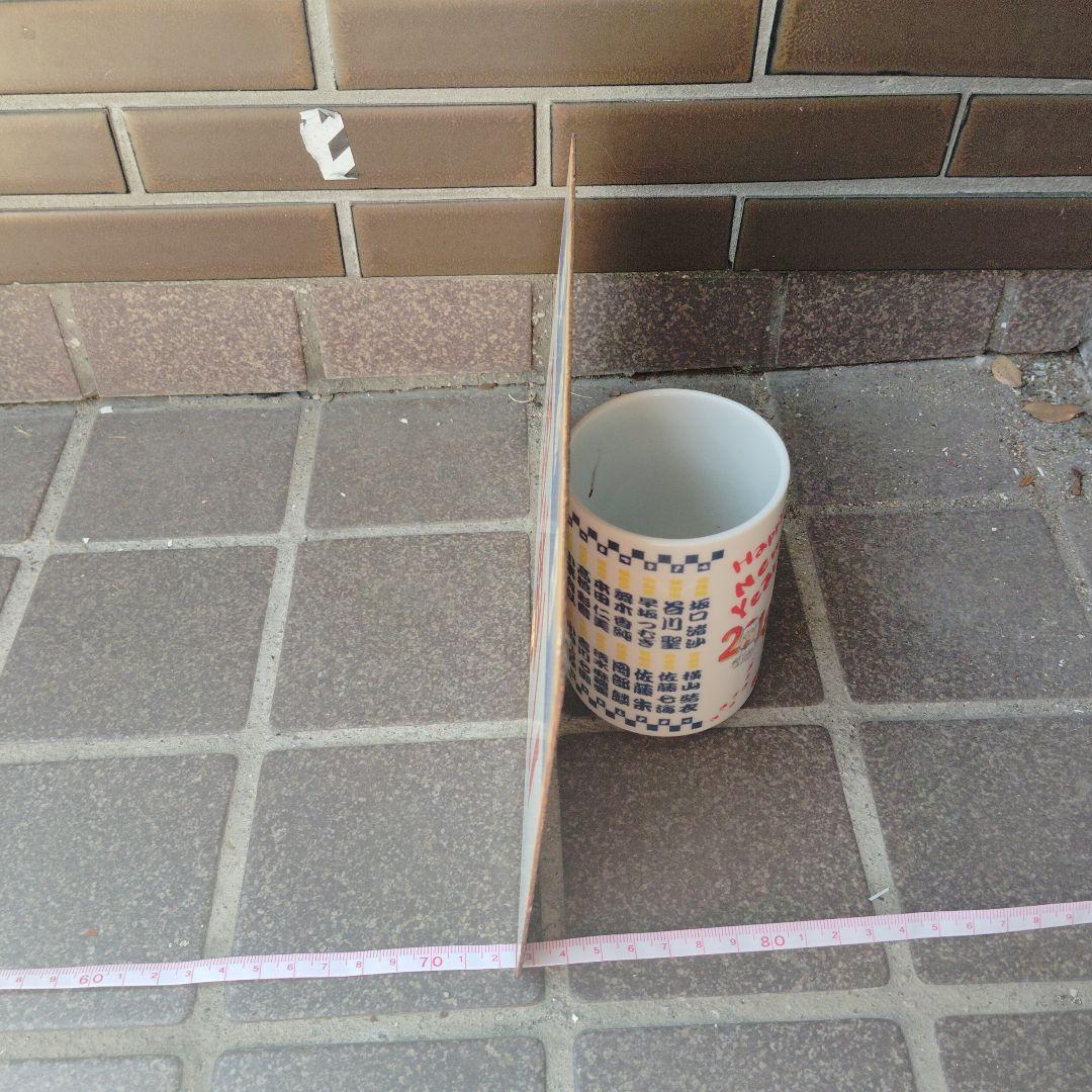 ●【サボ　愛称板】（表）八甲田 Ｂ寝台（裏）八甲田 HAKKŌDA