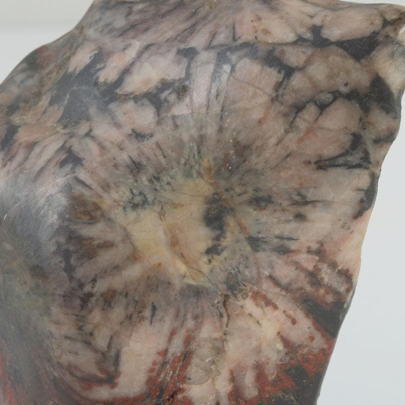 岐阜県根尾谷産　天然石　鑑賞石　菊花石　唐木台付　書付共箱　V　9425