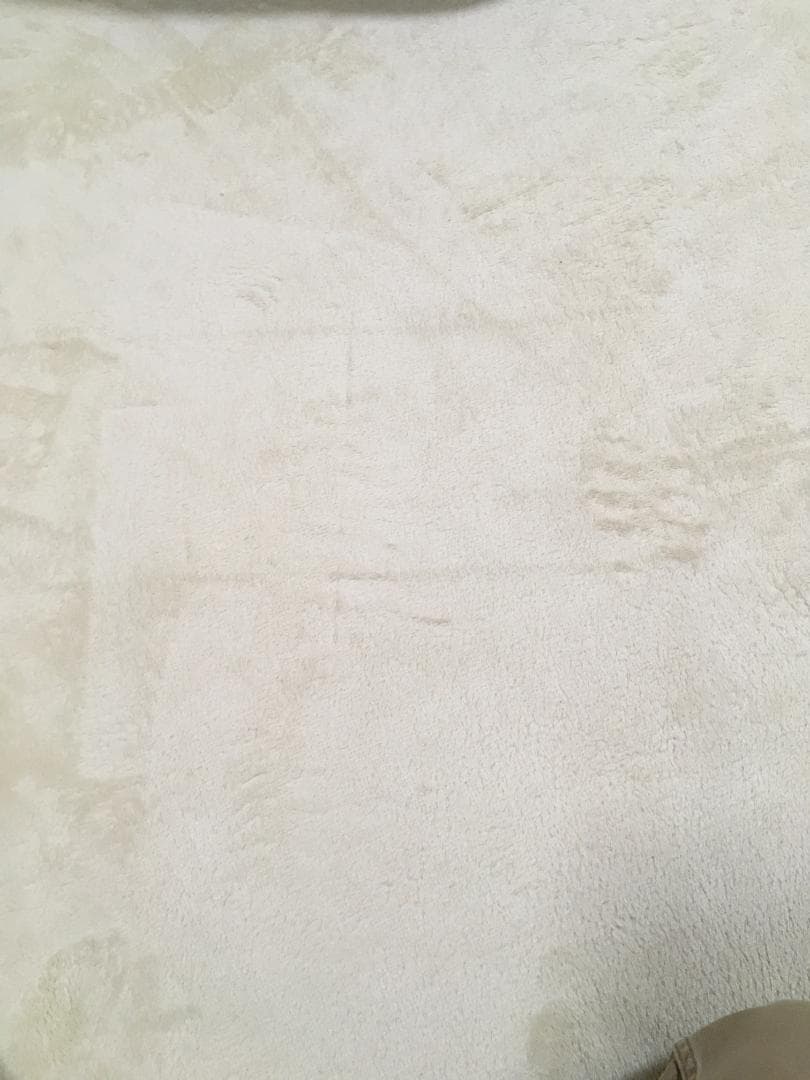 アップル　iPad Pro 9.7インチ 32GB WiFi （動作確認済）