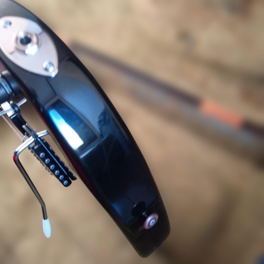 Aria ProⅡ アリアプロ2 MAGNA SERIES SSH