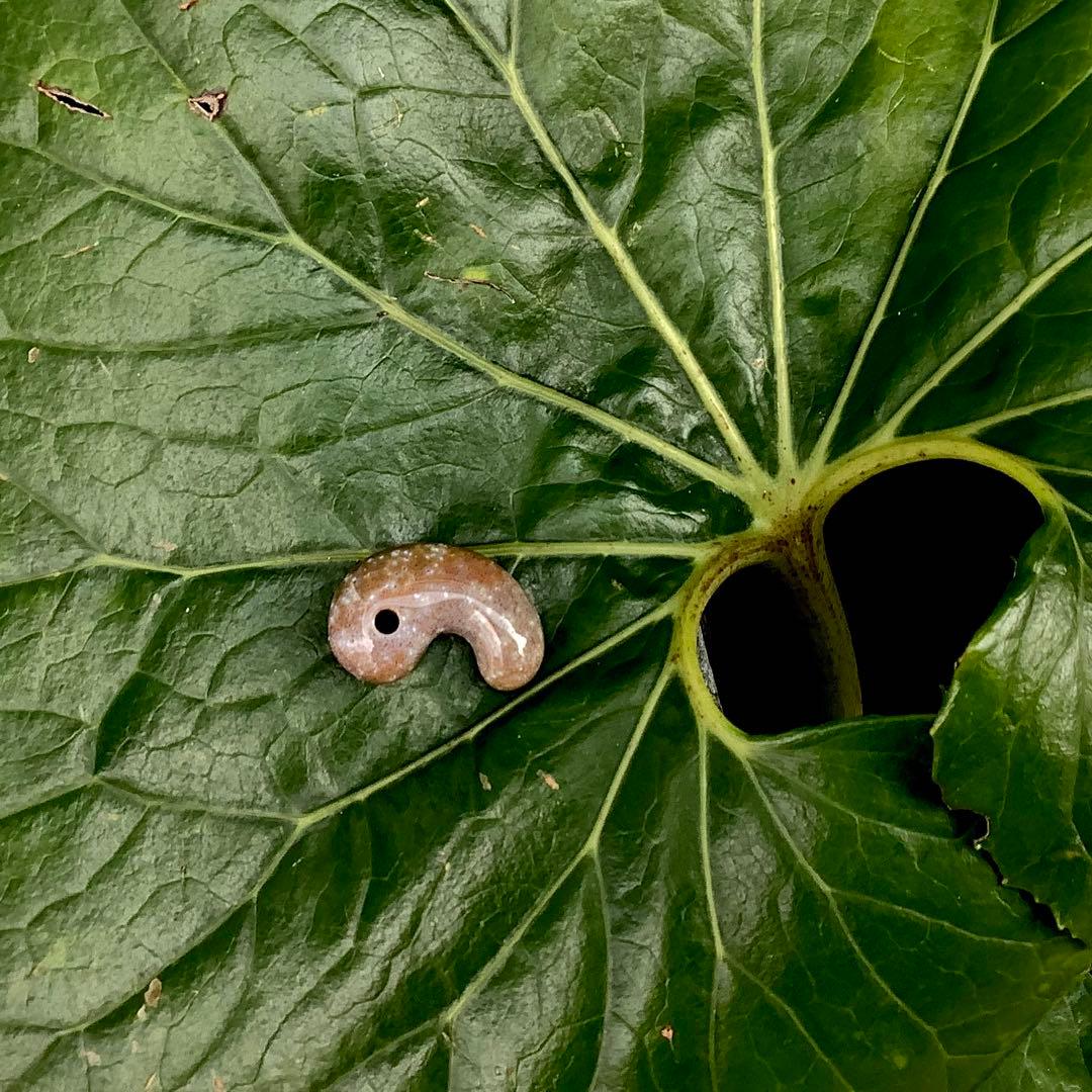 ✳摩訶不思議な色彩　花仙山出雲型勾玉　ピカピカ極上研磨　⭕️鑑定鑑別書付の本物です