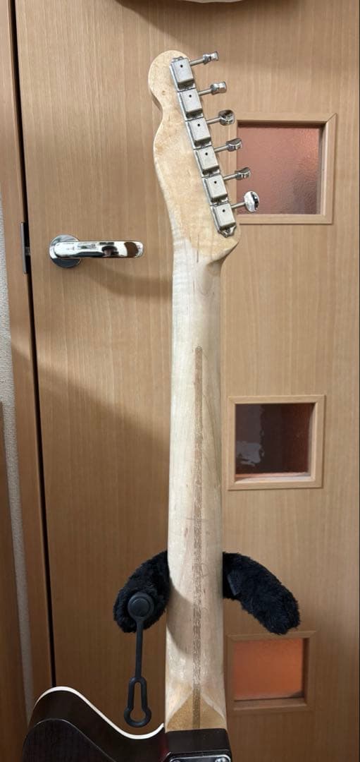ギター Custom Telemaster Reverse