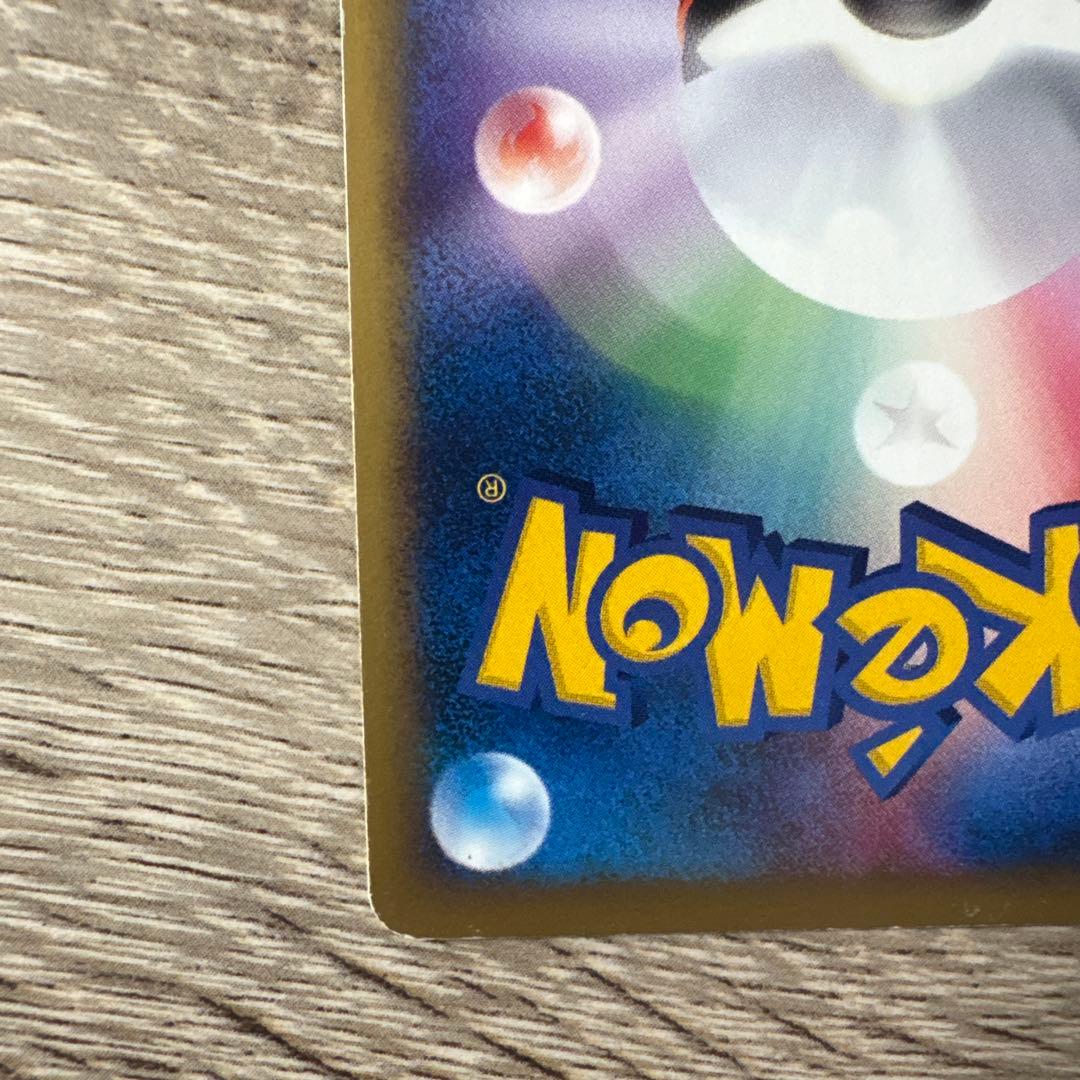 Seizachan　ゼニガメ ブラッキー