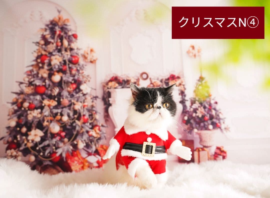 背景布【お正月I】サンプル　縦長　ペット撮影用ブース年賀状　梅の花　和柄　赤富士