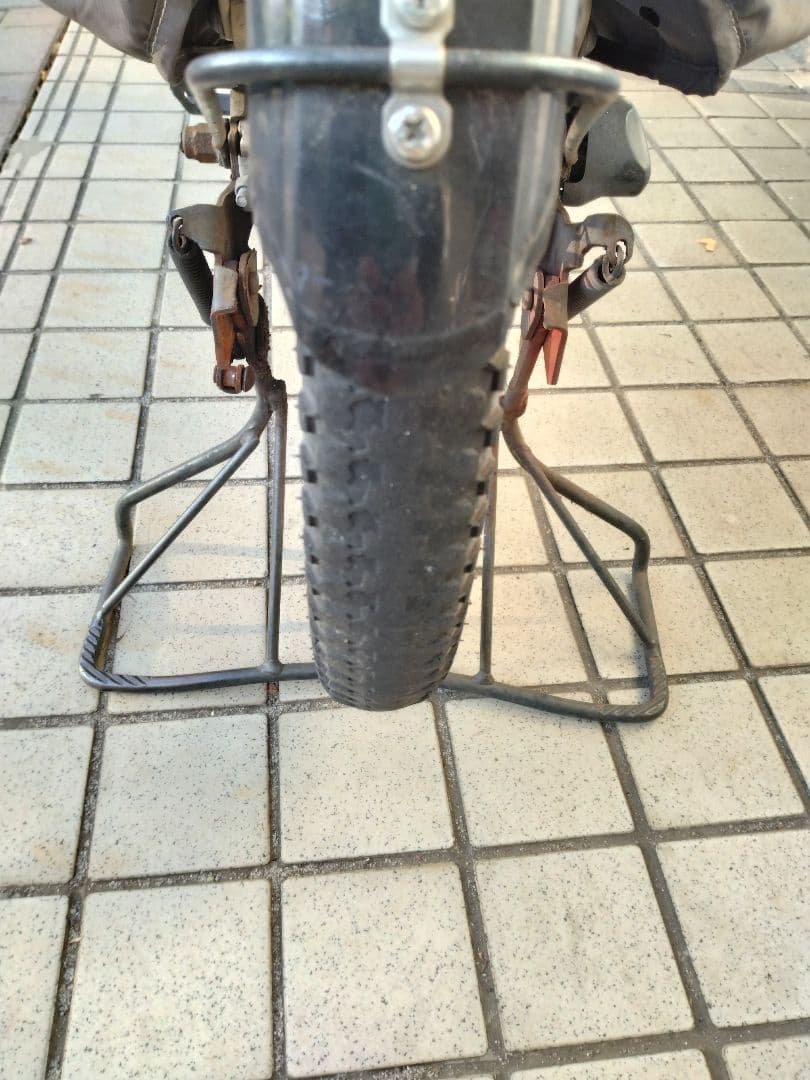 ビッケポーラー e 2018 年購入 電動アシスト自転車 チャイルドシート付き