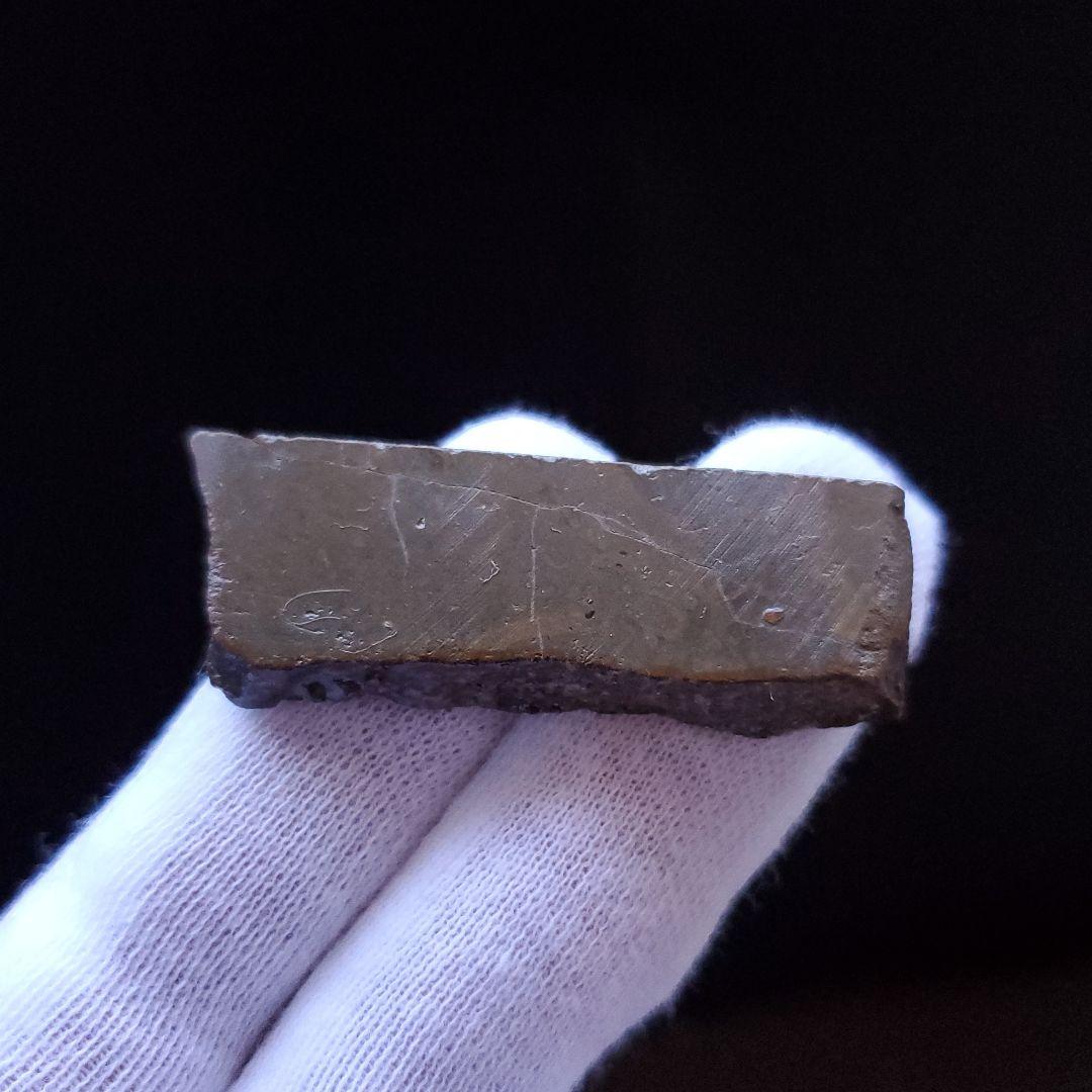 遊色 アンモライト 化石 本物 カナダ産 45.94mm anr8