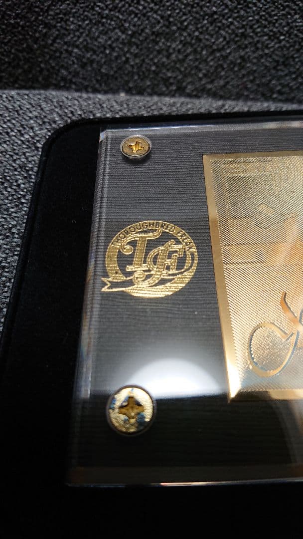 【激レア】ナリタブライアン ゴールドプレート