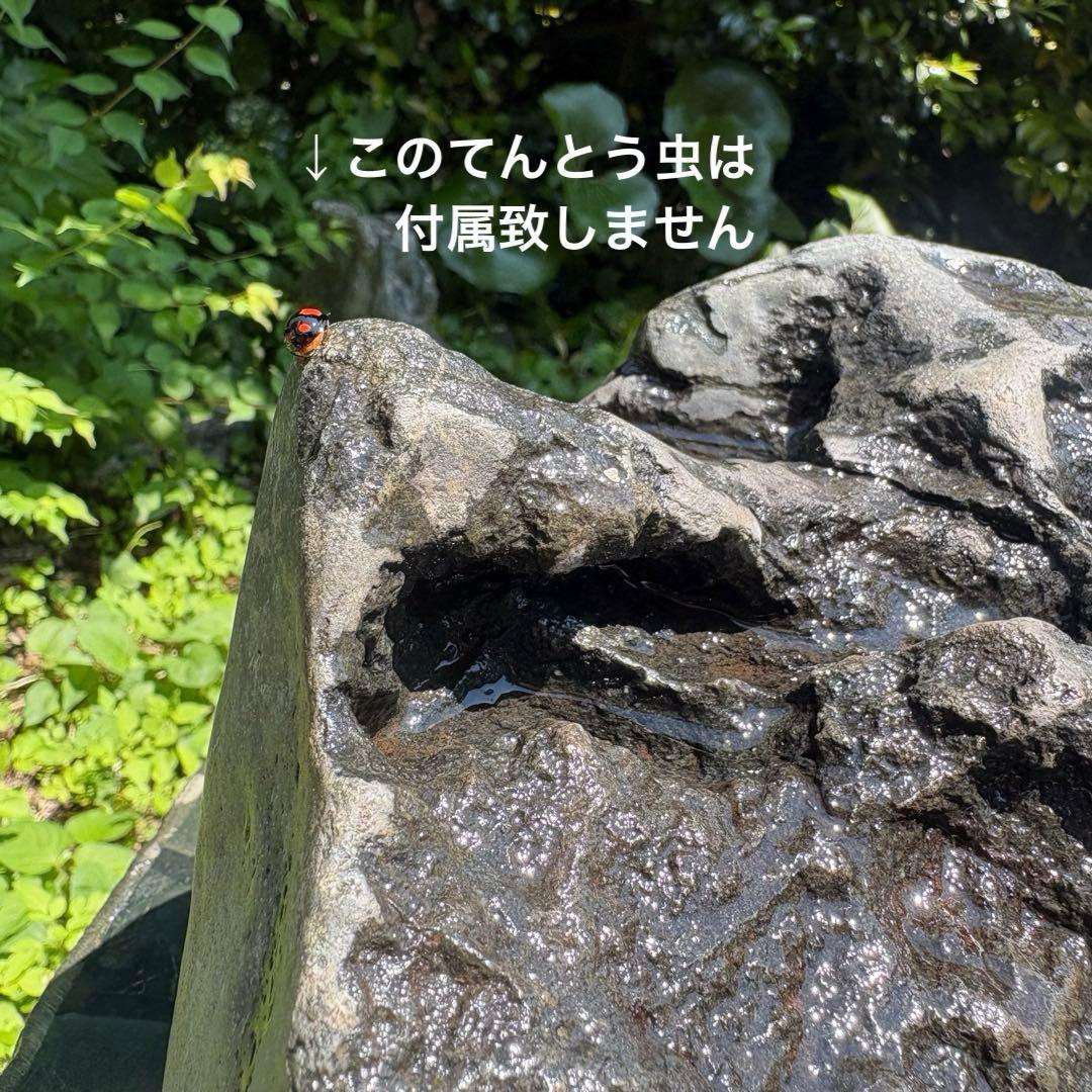 【お値下げ　希少 八海山石8.1kg】アクアリウム ウブ石 ジャグレ石 水無川