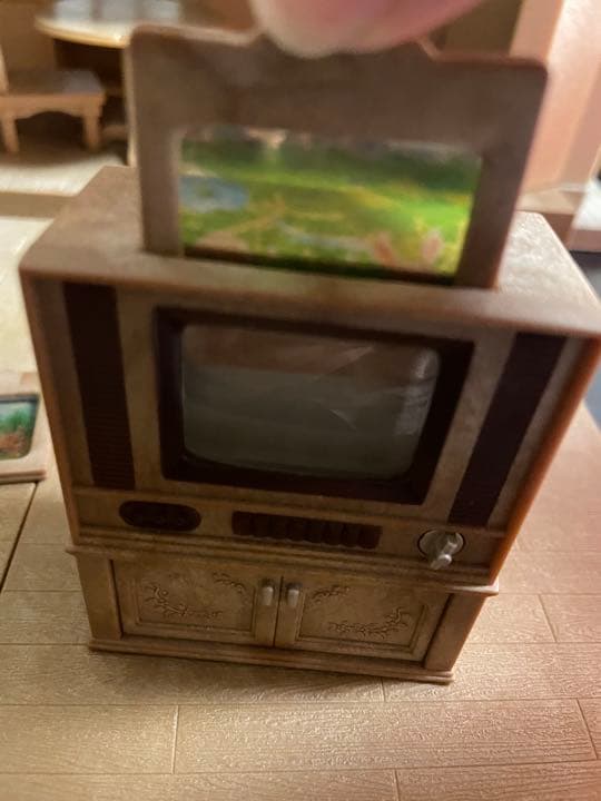 テレビ　入れ替え可能