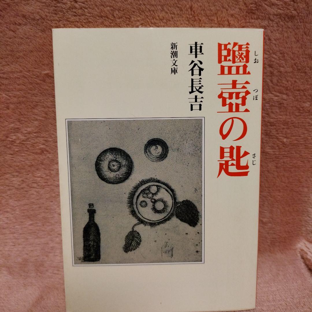 車谷長吉　文庫本１４冊まとめ売り