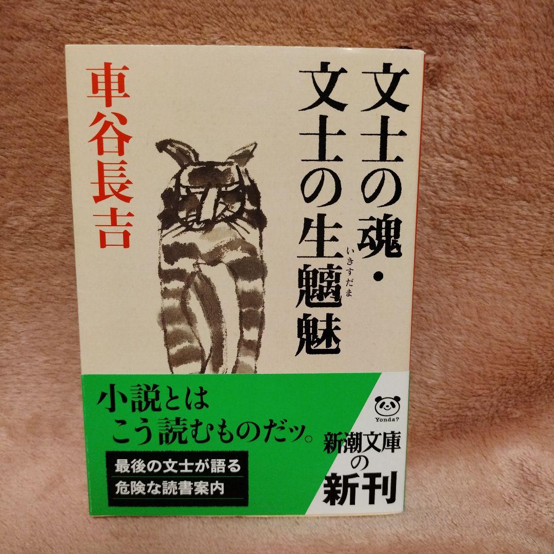 車谷長吉　文庫本１４冊まとめ売り
