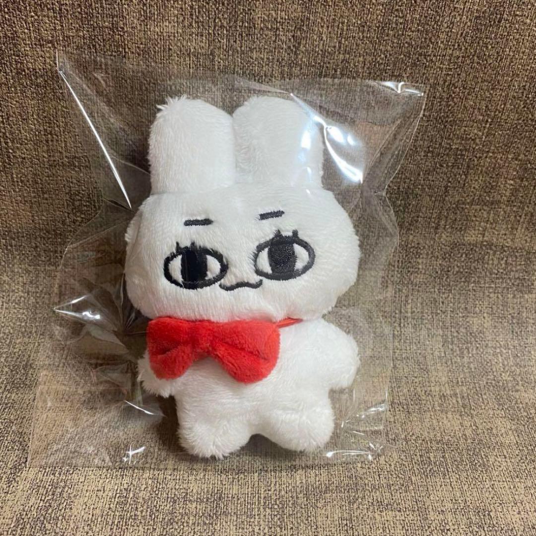 ジェミン　10cm ぬいぐるみ　新品　マスター　nct