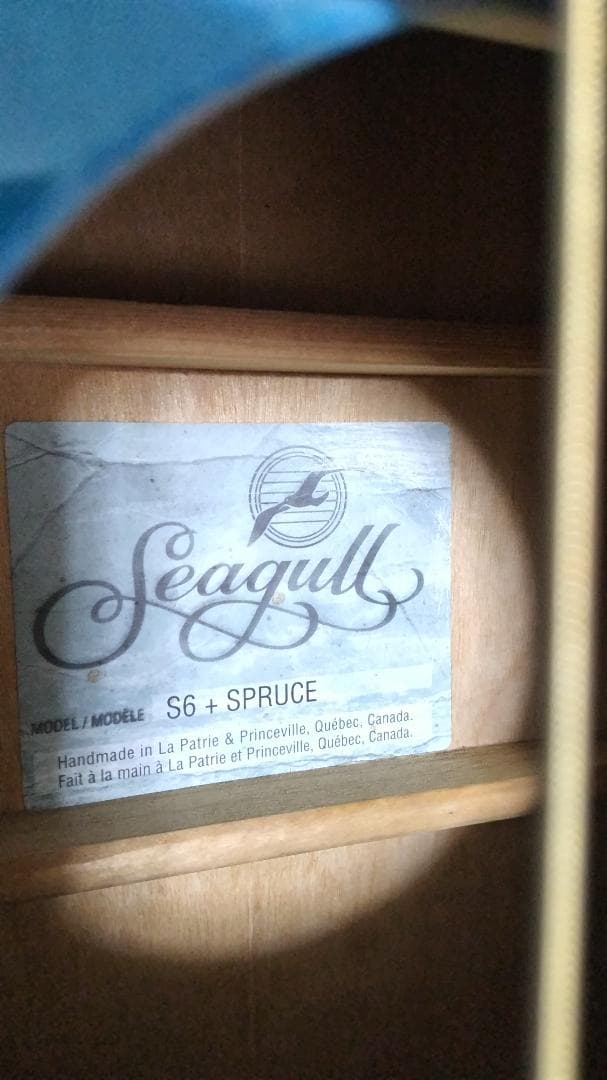 ❤️弦高調整済「seagull S6 + SPRUCE」(*゜▽゜)ノ指弾き良し