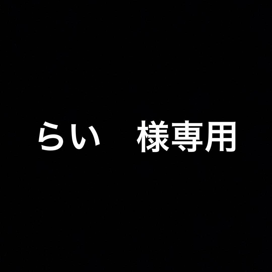 小池竜暉　なまけものぬいぐるみキーホルダー