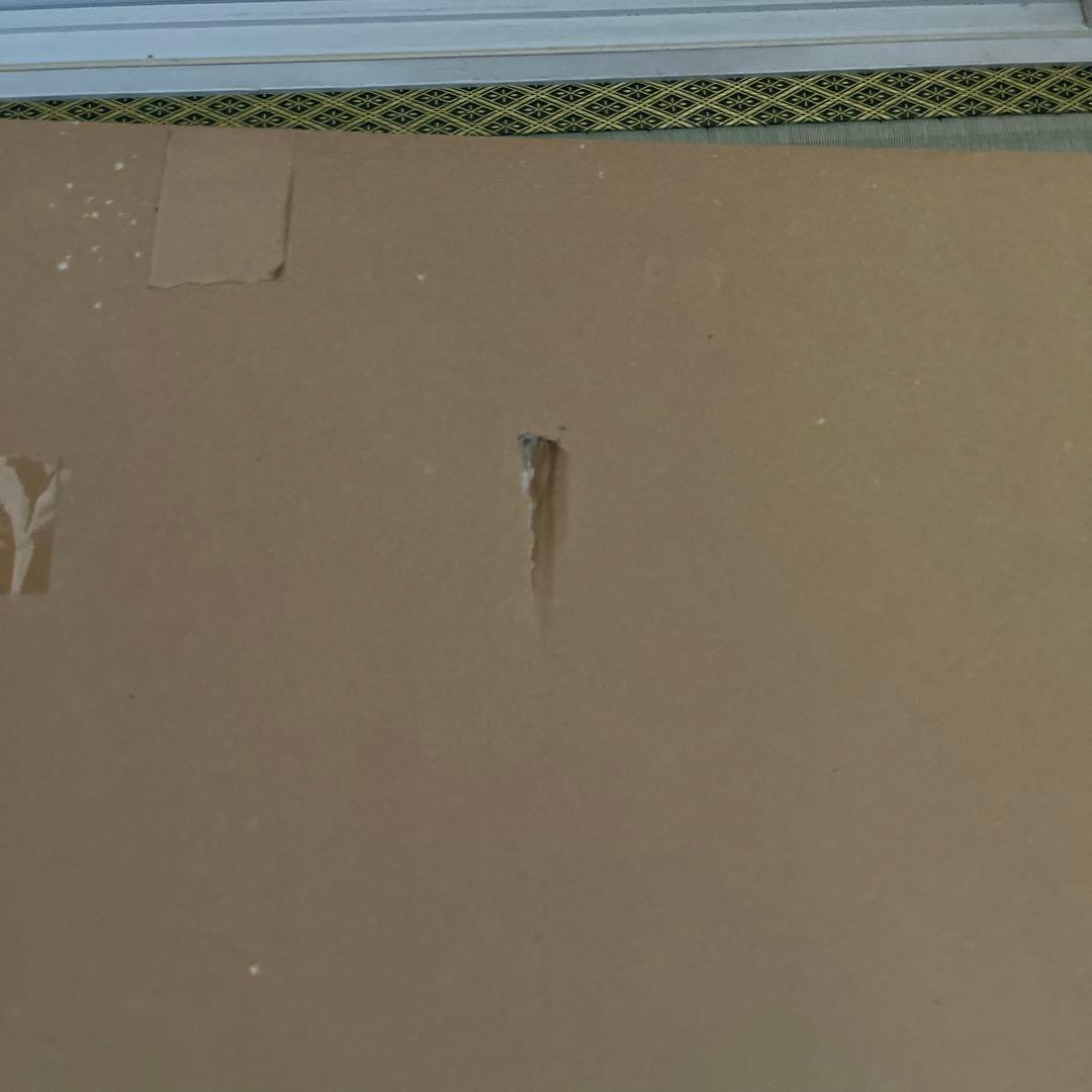 アリエル　シルエット　デビッドウィラードソン　【レア番号】