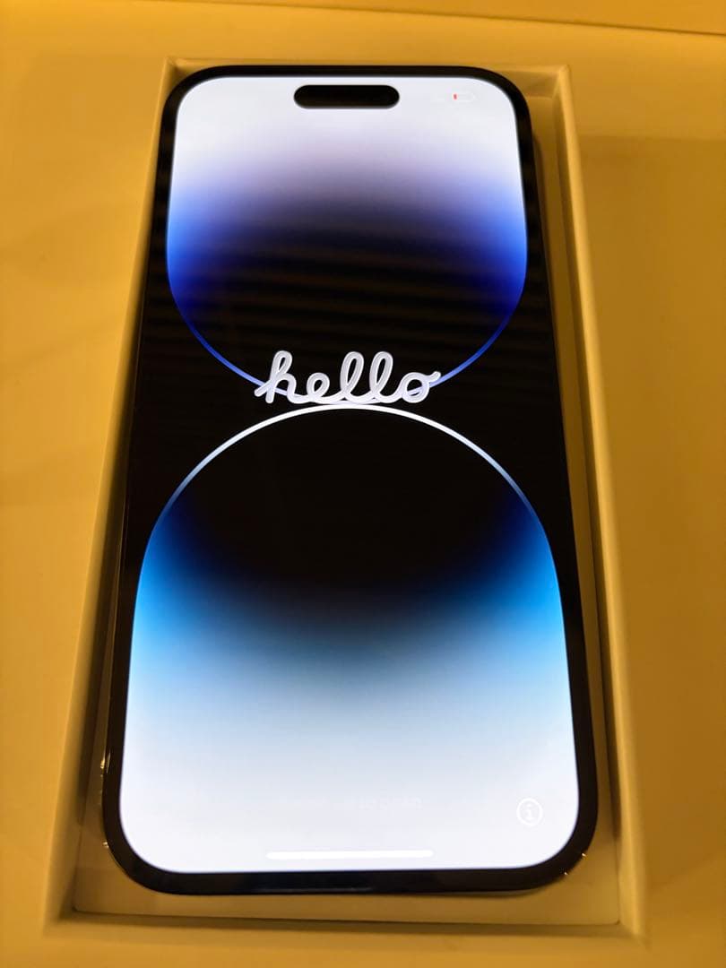 pioH様用　Apple iPhone14Pro 本体　256GB