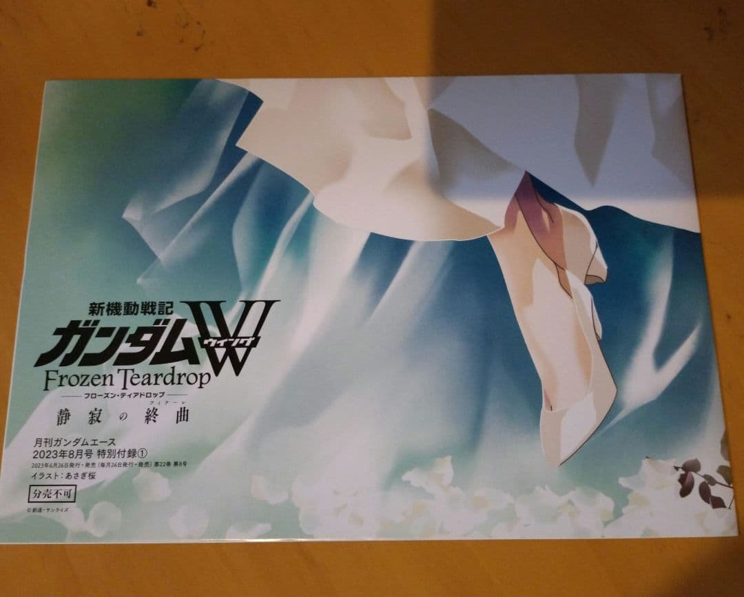 新機動戦士ガンダムＷ　月刊ガンダムエース　B2ポスター　ヒイロ　リリーナ