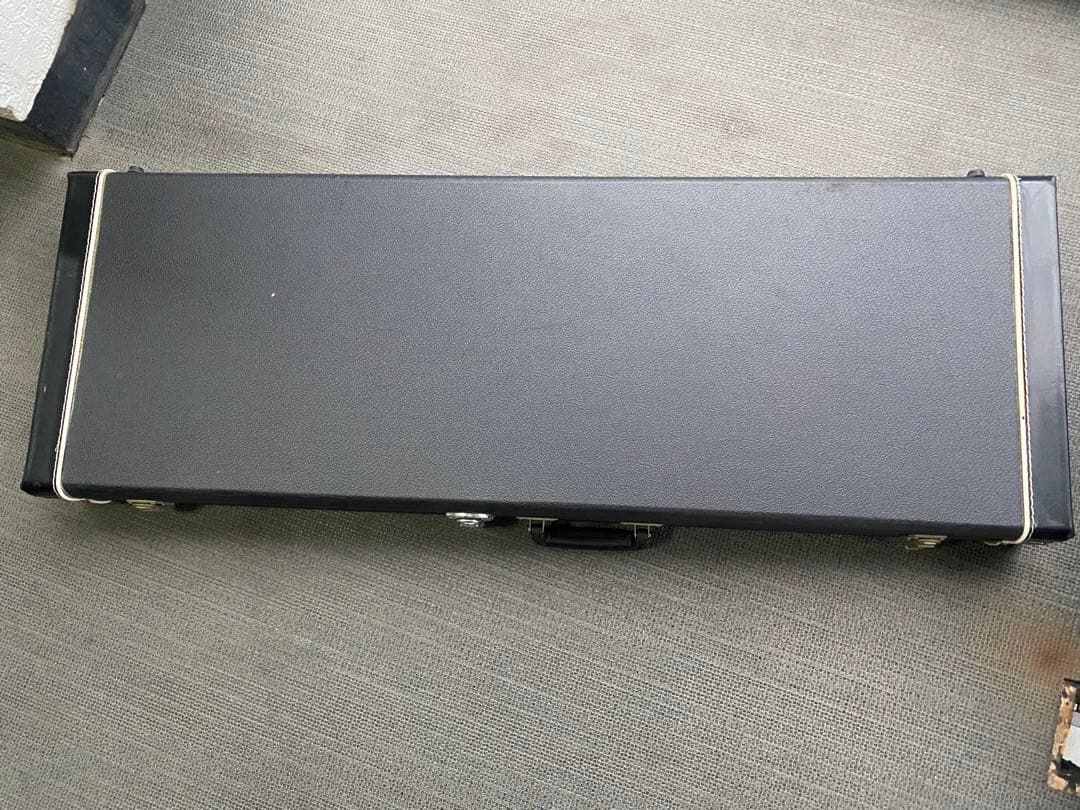 値下げ　BACCHUS BSM-STD/RSM/FR ハードケース別売り