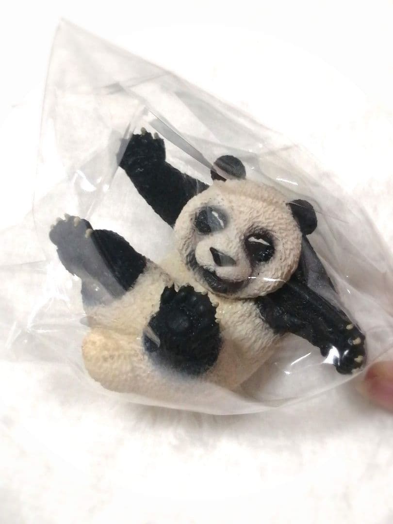 【コンプリート】ローリング ユア アイズ 全6種