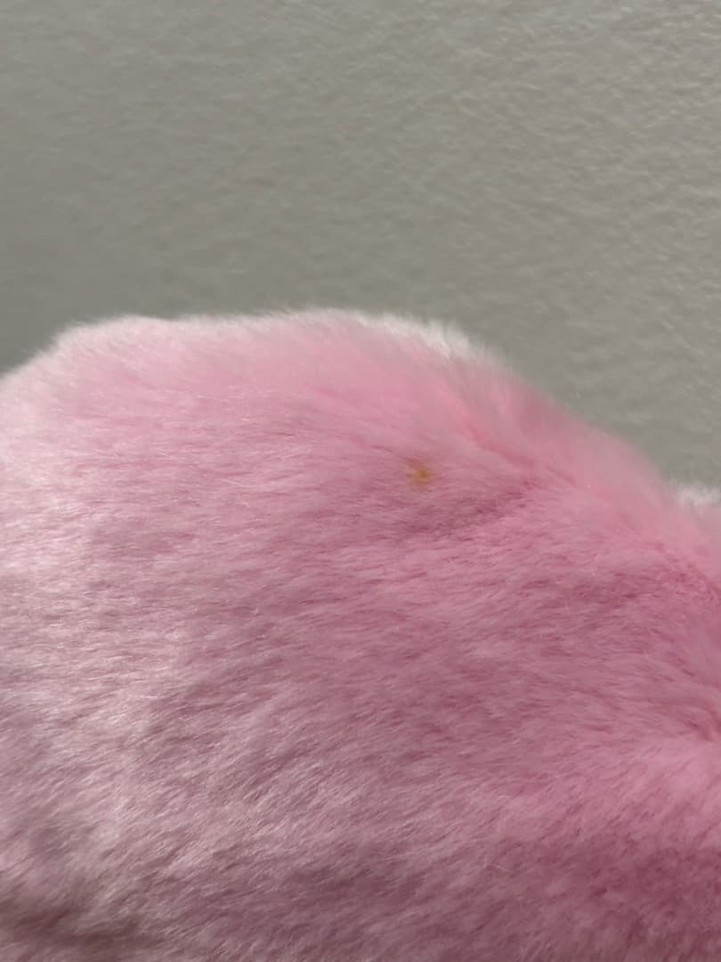 yzzz　東京ディズニーリゾート ピンク 紫 ミニー ファンキャップ