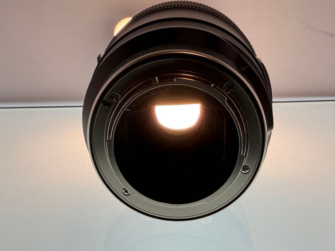 タムロン 90mm F2.8 Di III MACRO VXD ソニーE用