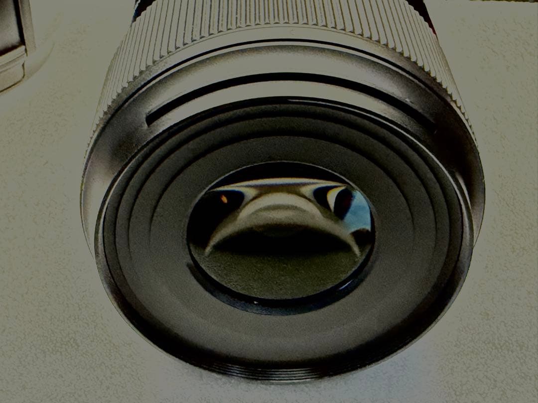 タムロン 90mm F2.8 Di III MACRO VXD ソニーE用