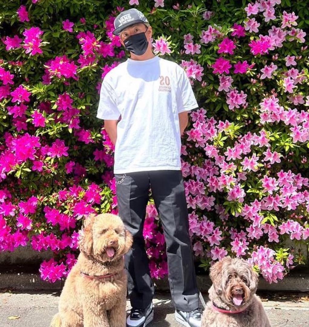 【HTC】Custom Dickiesキムタク着用 同型同色 ブラック32×30