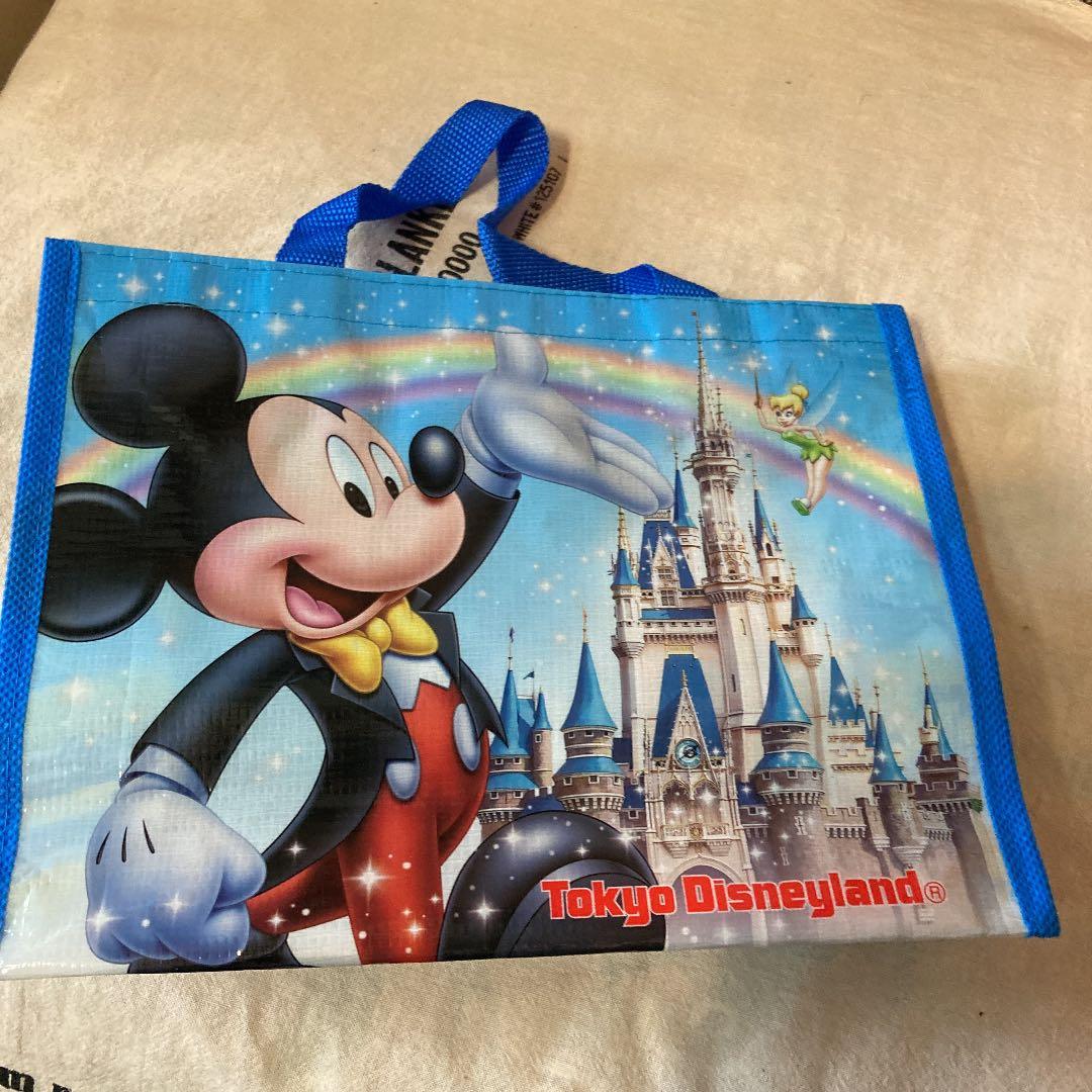 ショッピングバッグ　ディズニー　ランド　シー　ミッキー　ミニー　20x26x8