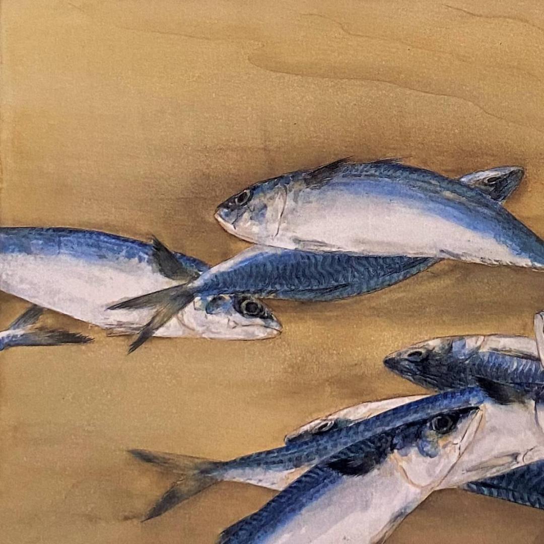 高野晴生、【鯖】、希少な額装用画集より、新品額装付、状態良好