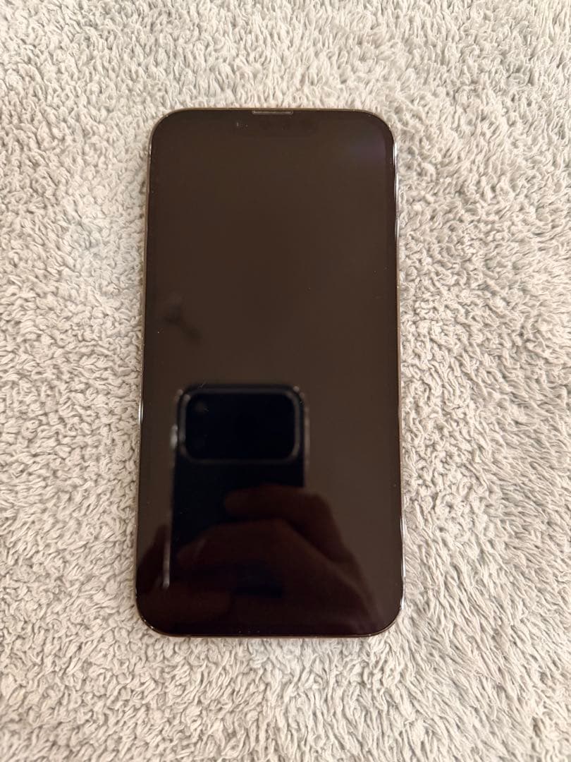 Apple iPhone13Pro グラファイト　256GB