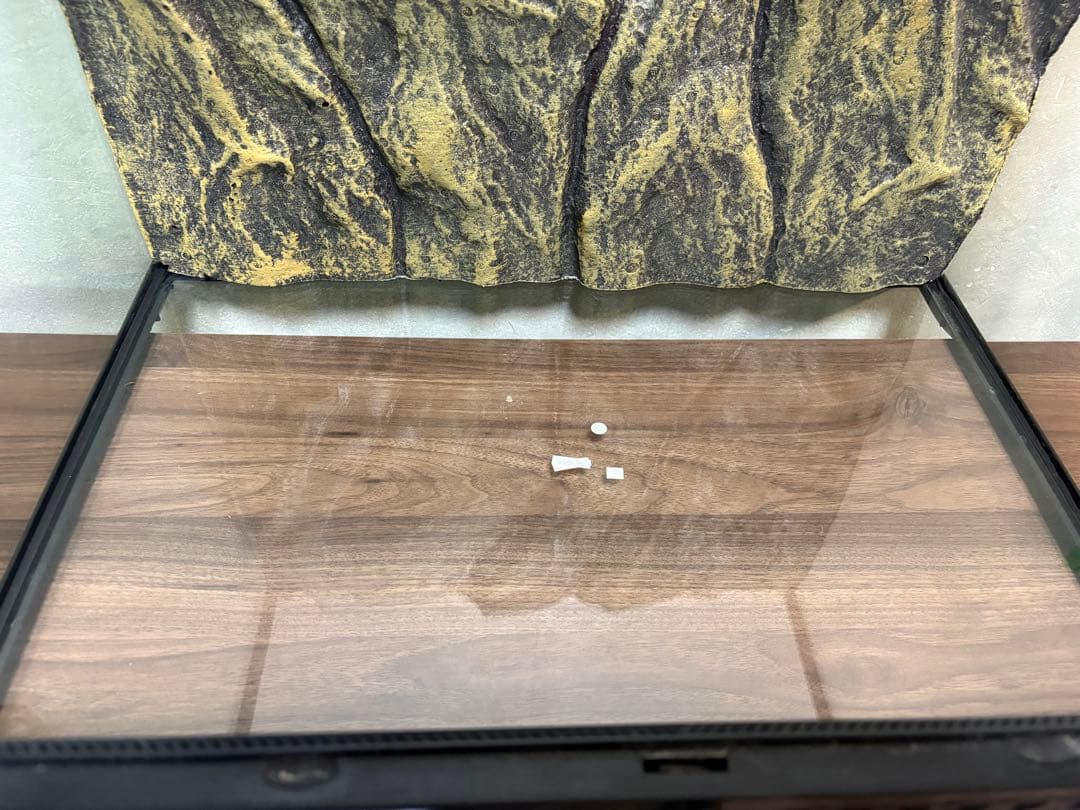 グラステラリウム 6045 GEX 爬虫類　ケージ　60cm 水槽