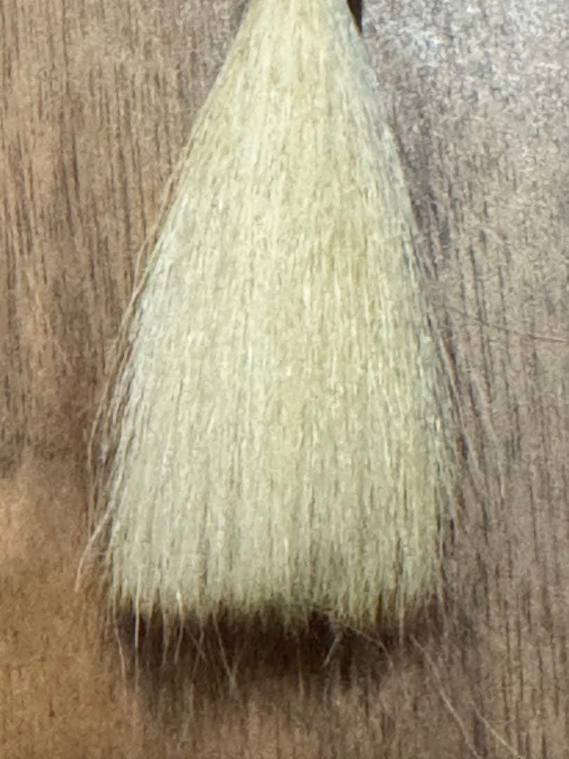 奈良博文堂本舗謹製。新品☆銘筆 入木 奈良博文堂本舗謹製 毛筆　素雲