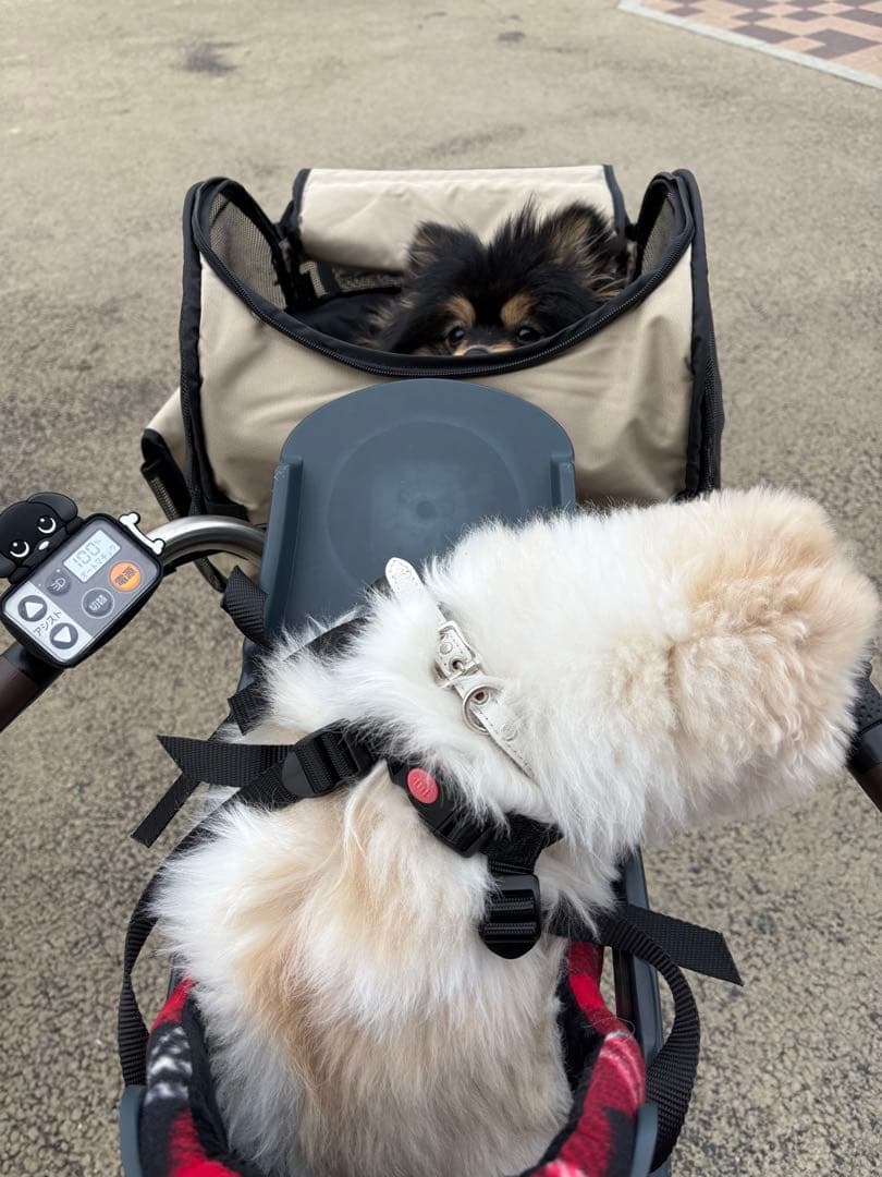 hirocaバディーライダー（buddyrider)&クッション 自転車