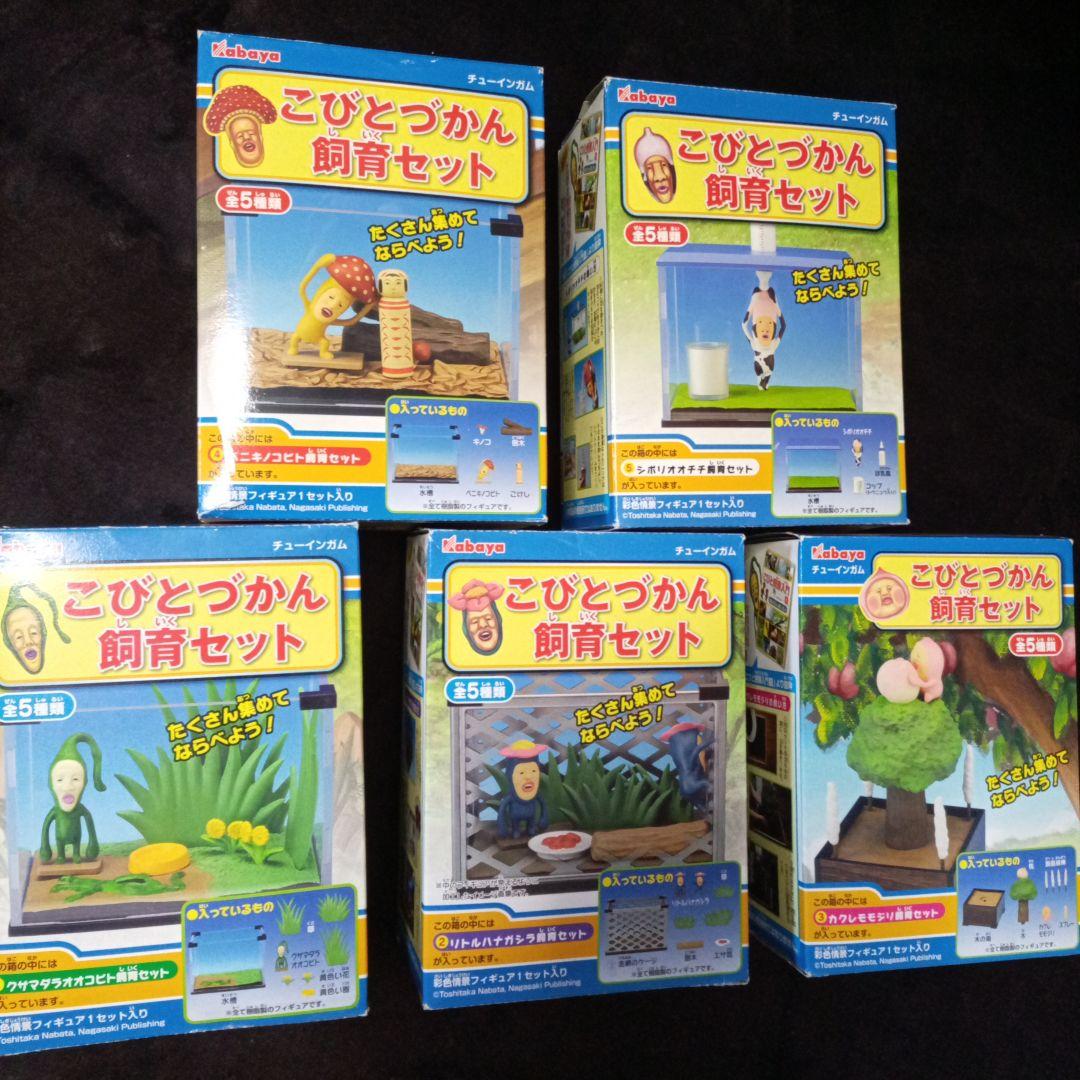 カバヤ こびとづかん 飼育セット 全5種