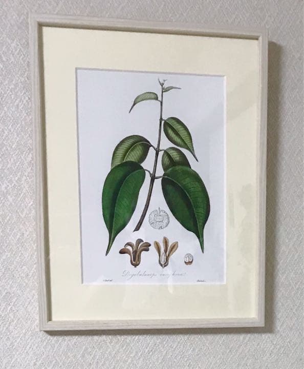 ★イギリス　ボタニカルアート　④