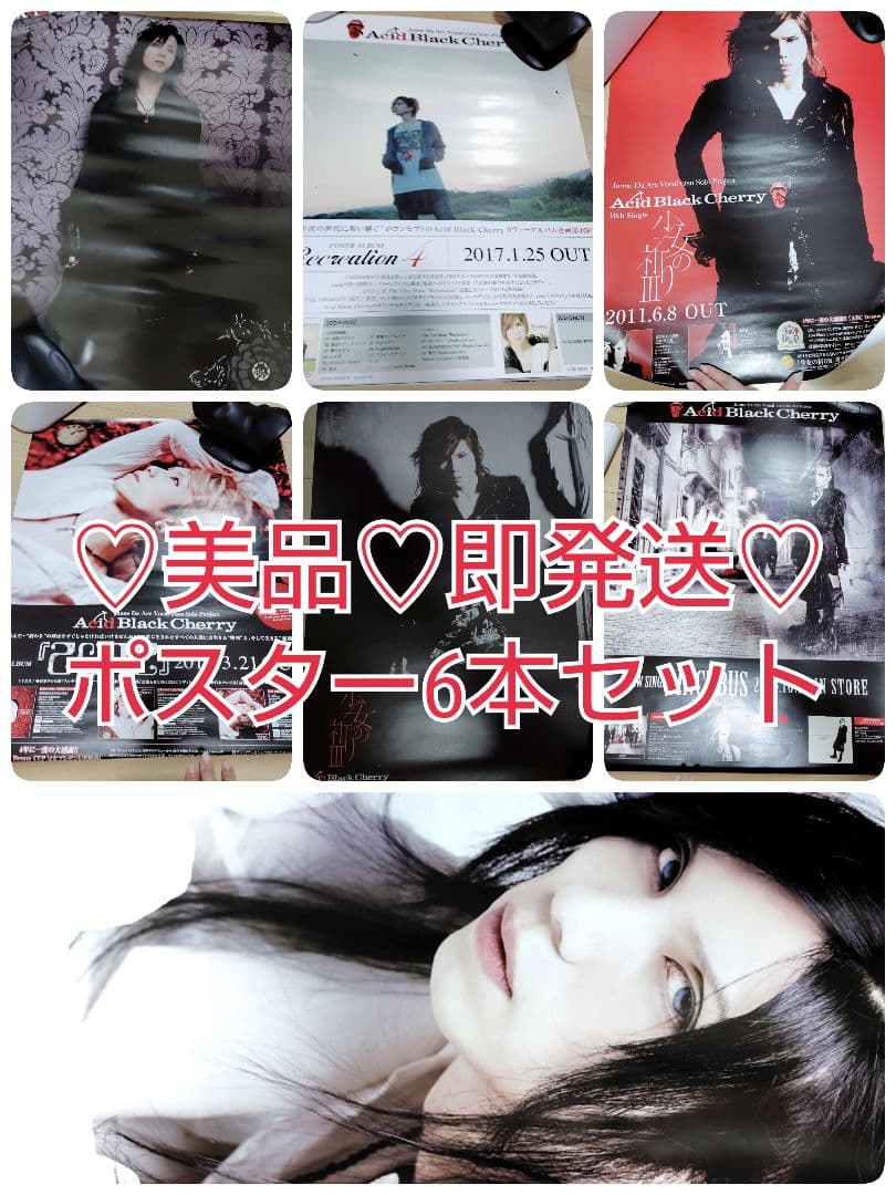 ♡美品♡即発送♡ Acid Black Cherry ポスター 6本まとめ売り