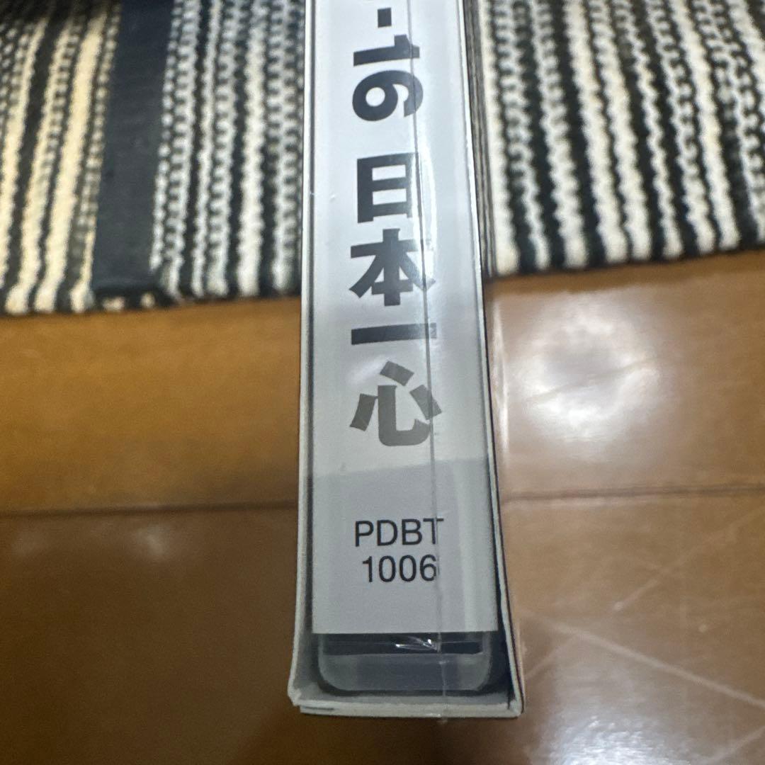 COMPLEX 20240515-16 日本一心 DVD 新品未開封　正規品