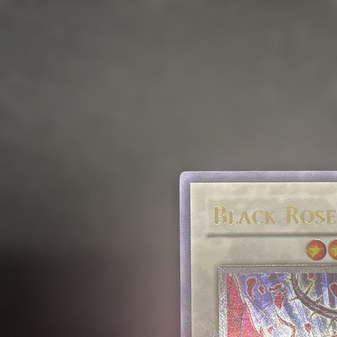 遊戯王　ブラック・ローズ・ドラゴン レリーフ　英語版　アンリミ CSOC