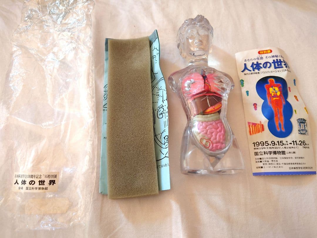 人体の世界 人体解剖模型 ジョシアン・ミニ 半券付き