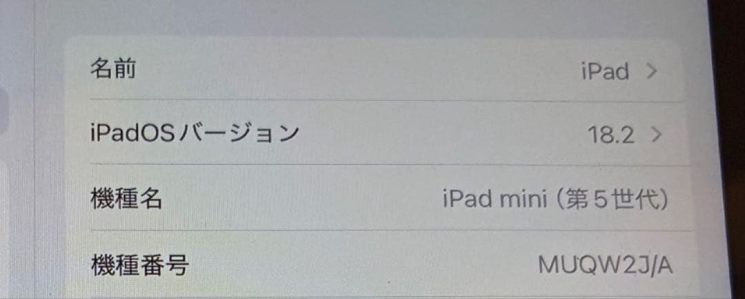 iPad mini 第5世代 64GB Wifi スペースグレー