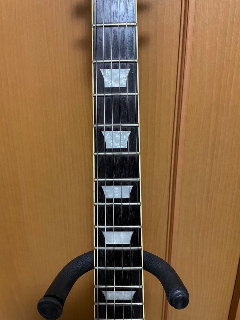 再再値下げバッカス　レスポールタイプ　EMG-HZ トレモロユニット搭載