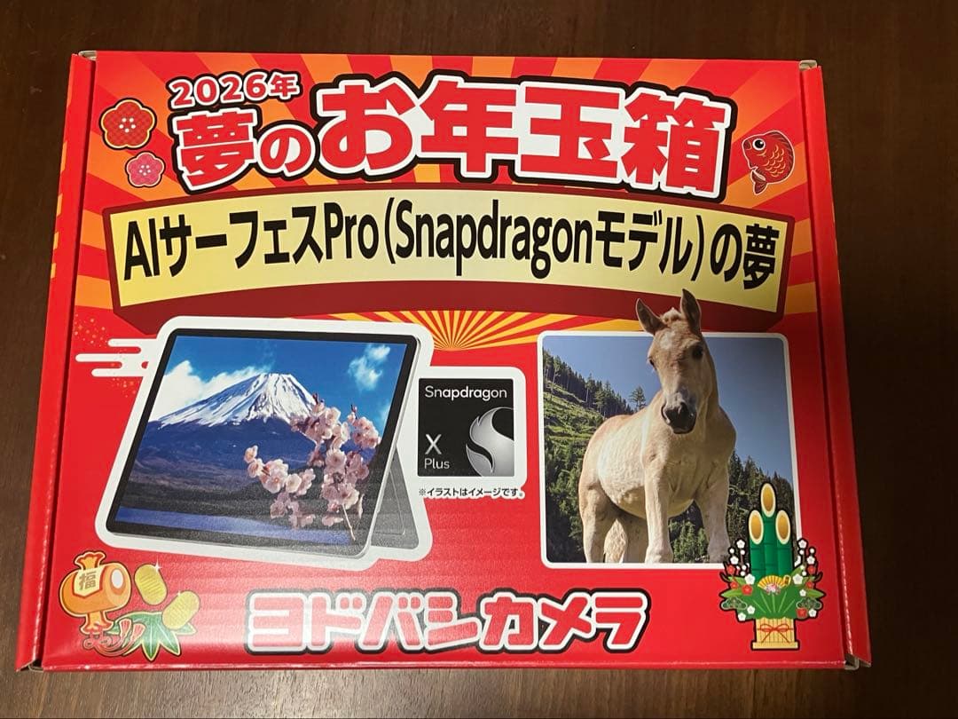 【にゃんこさま専用】ヨドバシ 福袋「AIサーフェスProの夢」より 4点