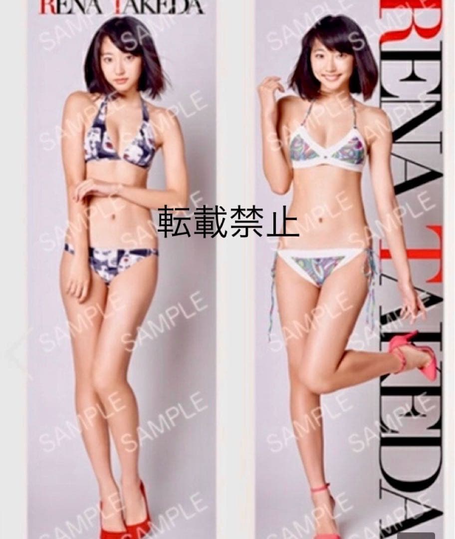 武田玲奈　等身大ポスター　２種類セット