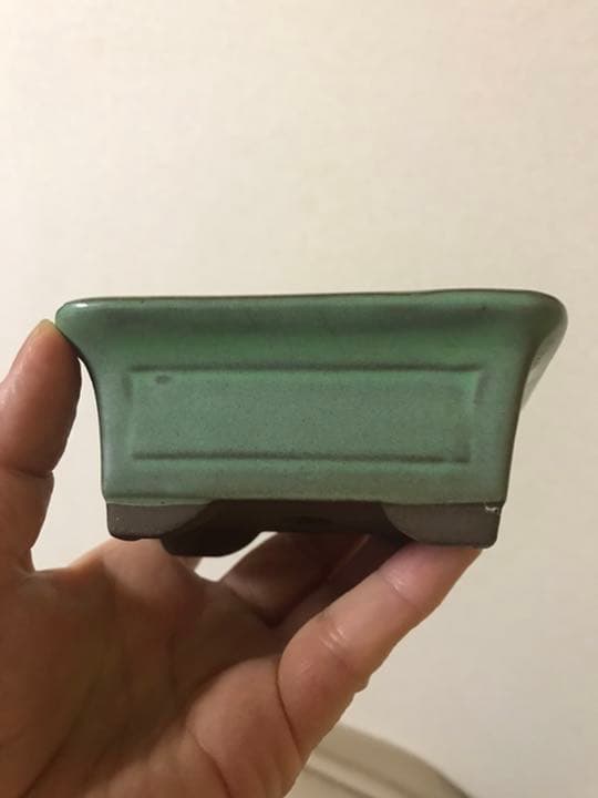 盆栽鉢美品ミニ盆栽鉢美豊光山他、緑長方鉢多肉植物サボテン山野草、名品展出品記念鉢