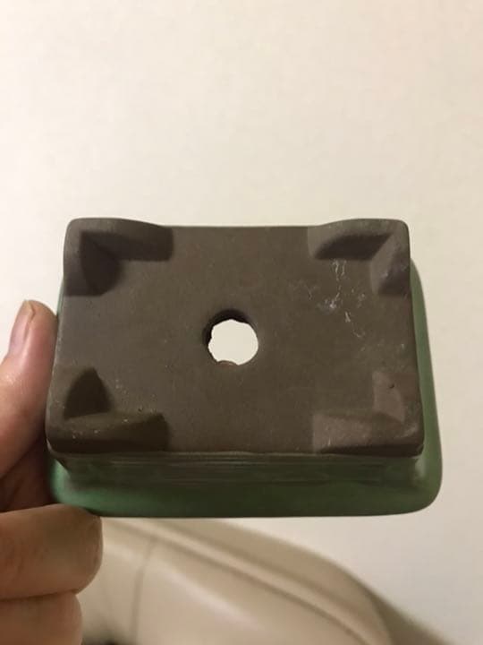 盆栽鉢美品ミニ盆栽鉢美豊光山他、緑長方鉢多肉植物サボテン山野草、名品展出品記念鉢