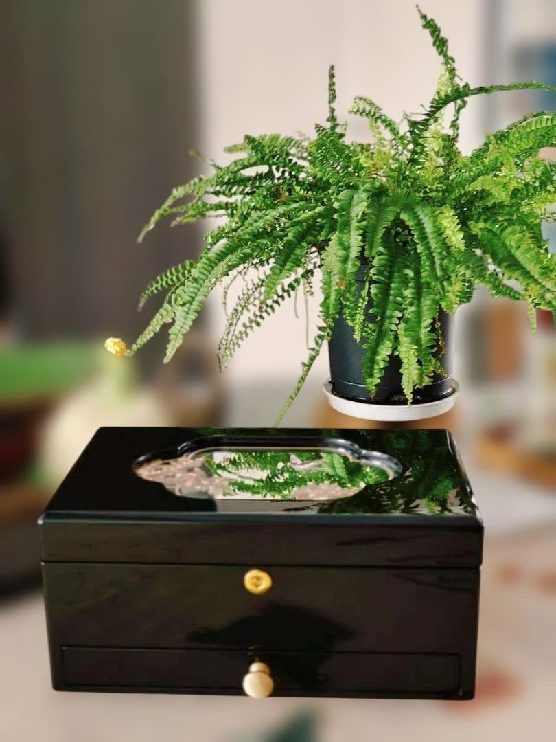 漆器 ジュエリーボックス 宝石箱 小物入れ 和風 高級感