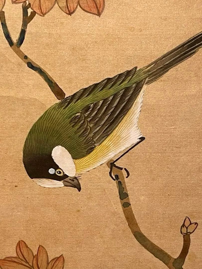 中国美術　張剑萍 在銘 掛け軸 アンティーク 書画 肉筆紙本。