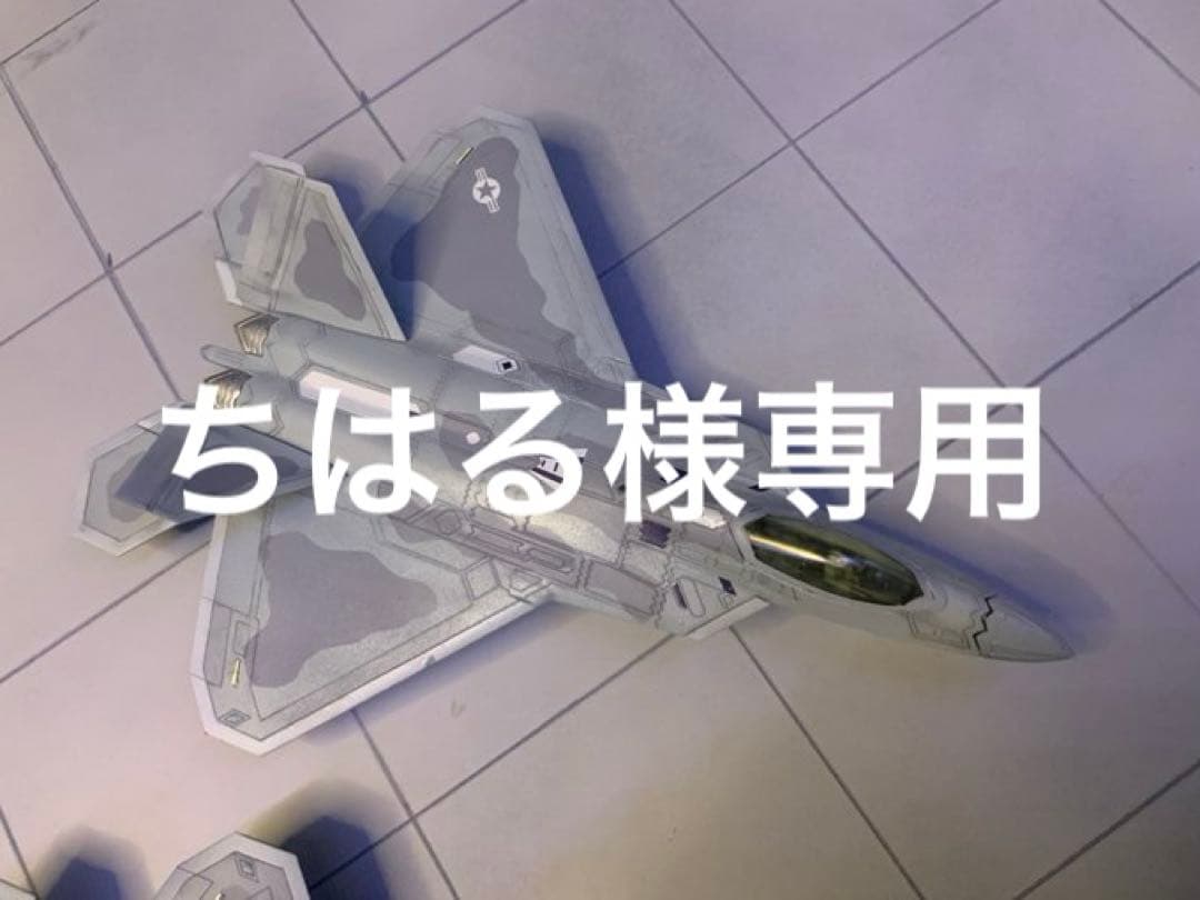 専用出品、F22ラプター米軍仕様