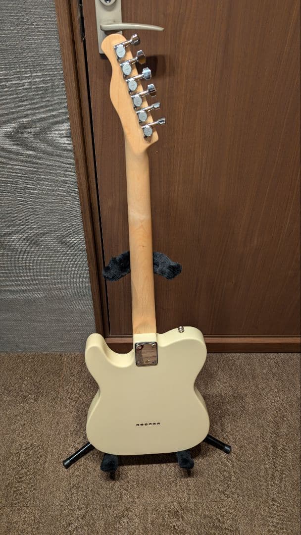 【本体ジャンク】Bacchus BTE-1M ＋EMG/GOTOH製パーツ