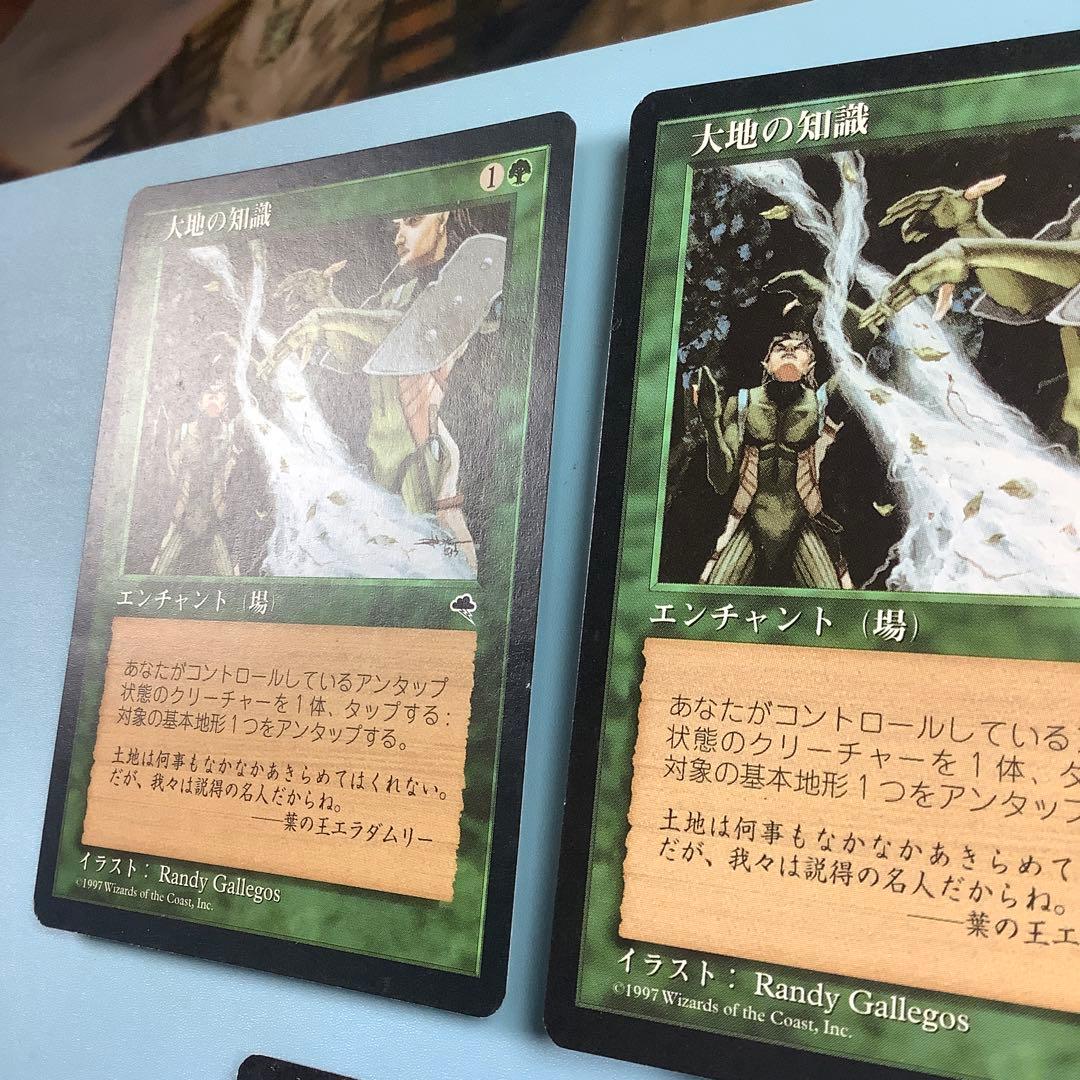 *バラ売り可* 大地の知識/Earthcraft TMP日本語3枚セット